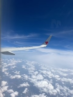 ブログイメージ