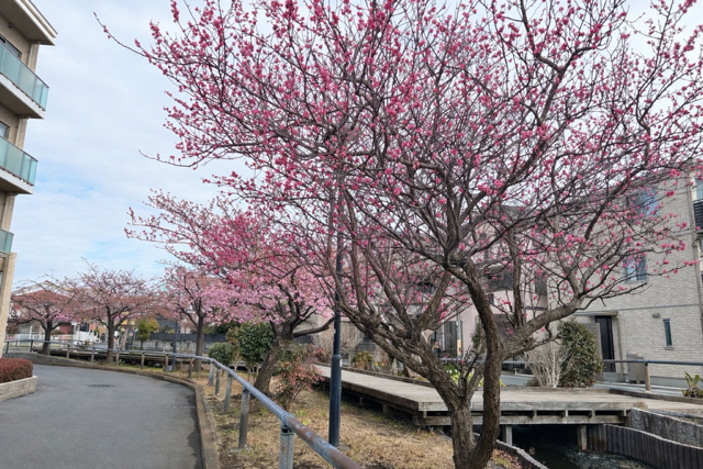 ブログイメージ