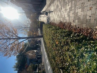 ブログイメージ