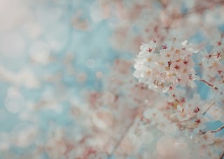 ブログイメージ